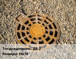 Дождеприемник ДБ-2 большой прямоугольный 36х78